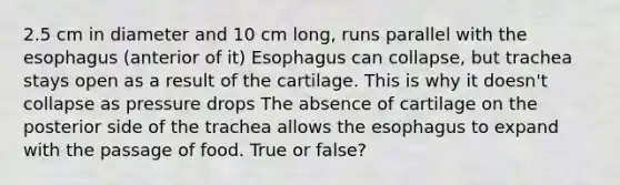 2.5 cm in diameter and 10 cm long, runs parallel with the esophagus (anterior of it) Esophagus can collapse, but trachea stays open as a result of the cartilage. This is why it doesn't collapse as pressure drops The absence of cartilage on the posterior side of the trachea allows the esophagus to expand with the passage of food. True or false?