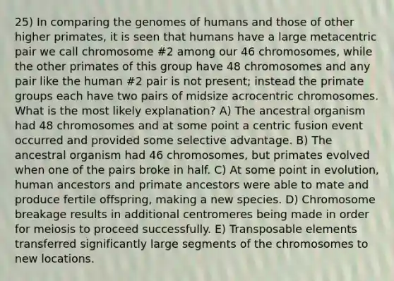 25) In comparing the genomes of humans and those of other higher primates, it is seen that humans have a large metacentric pair we call chromosome #2 among our 46 chromosomes, while the other primates of this group have 48 chromosomes and any pair like the human #2 pair is not present; instead the primate groups each have two pairs of midsize acrocentric chromosomes. What is the most likely explanation? A) The ancestral organism had 48 chromosomes and at some point a centric fusion event occurred and provided some selective advantage. B) The ancestral organism had 46 chromosomes, but primates evolved when one of the pairs broke in half. C) At some point in evolution, human ancestors and primate ancestors were able to mate and produce fertile offspring, making a new species. D) Chromosome breakage results in additional centromeres being made in order for meiosis to proceed successfully. E) Transposable elements transferred significantly large segments of the chromosomes to new locations.