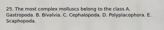 25. The most complex molluscs belong to the class A. Gastropoda. B. Bivalvia. C. Cephalopoda. D. Polyplacophora. E. Scaphopoda.