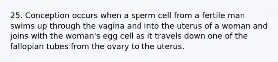 25. Conception occurs when a sperm cell from a fertile man swims up through the vagina and into the uterus of a woman and joins with the woman's egg cell as it travels down one of the fallopian tubes from the ovary to the uterus.