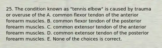 25. The condition known as "tennis elbow" is caused by trauma or overuse of the A. common flexor tendon of the anterior forearm muscles. B. common flexor tendon of the posterior forearm muscles. C. common extensor tendon of the anterior forearm muscles. D. common extensor tendon of the posterior forearm muscles. E. None of the choices is correct.