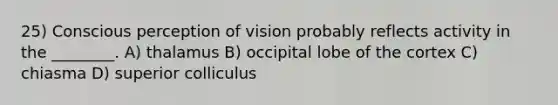 25) Conscious perception of vision probably reflects activity in the ________. A) thalamus B) occipital lobe of the cortex C) chiasma D) superior colliculus