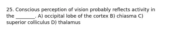 25. Conscious perception of vision probably reflects activity in the ________. A) occipital lobe of the cortex B) chiasma C) superior colliculus D) thalamus