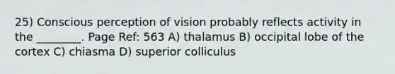 25) Conscious perception of vision probably reflects activity in the ________. Page Ref: 563 A) thalamus B) occipital lobe of the cortex C) chiasma D) superior colliculus