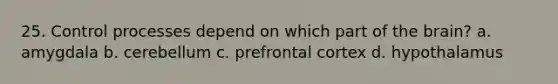 25. Control processes depend on which part of the brain? a. amygdala b. cerebellum c. prefrontal cortex d. hypothalamus