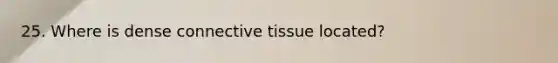 25. Where is dense connective tissue located?