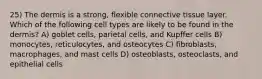 25) The dermis is a strong, flexible connective tissue layer. Which of the following cell types are likely to be found in the dermis? A) goblet cells, parietal cells, and Kupffer cells B) monocytes, reticulocytes, and osteocytes C) fibroblasts, macrophages, and mast cells D) osteoblasts, osteoclasts, and epithelial cells