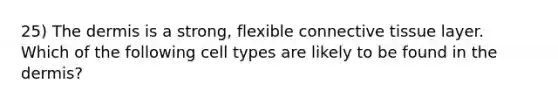 25) The dermis is a strong, flexible connective tissue layer. Which of the following cell types are likely to be found in the dermis?