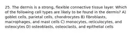 25. The dermis is a strong, flexible connective tissue layer. Which of the following cell types are likely to be found in the dermis? A) goblet cells, parietal cells, chondrocytes B) fibroblasts, macrophages, and mast cells C) monocytes, reticulocytes, and osteocytes D) osteoblasts, osteoclasts, and epithelial cells