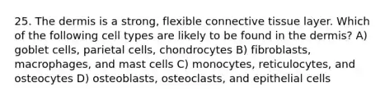 25. The dermis is a strong, flexible connective tissue layer. Which of the following cell types are likely to be found in the dermis? A) goblet cells, parietal cells, chondrocytes B) fibroblasts, macrophages, and mast cells C) monocytes, reticulocytes, and osteocytes D) osteoblasts, osteoclasts, and epithelial cells