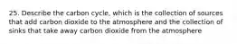 25. Describe the carbon cycle, which is the collection of sources that add carbon dioxide to the atmosphere and the collection of sinks that take away carbon dioxide from the atmosphere