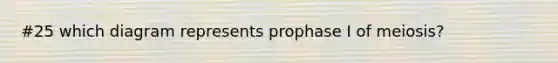 #25 which diagram represents prophase I of meiosis?