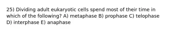 25) Dividing adult eukaryotic cells spend most of their time in which of the following? A) metaphase B) prophase C) telophase D) interphase E) anaphase