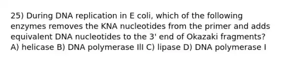 25) During DNA replication in E coli, which of the following enzymes removes the KNA nucleotides from the primer and adds equivalent DNA nucleotides to the 3' end of Okazaki fragments? A) helicase B) DNA polymerase IlI C) lipase D) DNA polymerase I