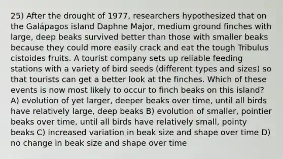 25) After the drought of 1977, researchers hypothesized that on the Galápagos island Daphne Major, medium ground finches with large, deep beaks survived better than those with smaller beaks because they could more easily crack and eat the tough Tribulus cistoides fruits. A tourist company sets up reliable feeding stations with a variety of bird seeds (different types and sizes) so that tourists can get a better look at the finches. Which of these events is now most likely to occur to finch beaks on this island? A) evolution of yet larger, deeper beaks over time, until all birds have relatively large, deep beaks B) evolution of smaller, pointier beaks over time, until all birds have relatively small, pointy beaks C) increased variation in beak size and shape over time D) no change in beak size and shape over time