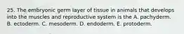 25. The embryonic germ layer of tissue in animals that develops into the muscles and reproductive system is the A. pachyderm. B. ectoderm. C. mesoderm. D. endoderm. E. protoderm.