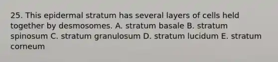 25. This epidermal stratum has several layers of cells held together by desmosomes. A. stratum basale B. stratum spinosum C. stratum granulosum D. stratum lucidum E. stratum corneum