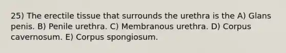 25) The erectile tissue that surrounds the urethra is the A) Glans penis. B) Penile urethra. C) Membranous urethra. D) Corpus cavernosum. E) Corpus spongiosum.