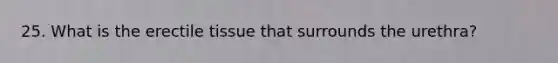 25. What is the erectile tissue that surrounds the urethra?