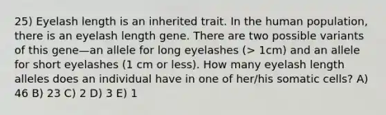 25) Eyelash length is an inherited trait. In the human population, there is an eyelash length gene. There are two possible variants of this gene—an allele for long eyelashes (> 1cm) and an allele for short eyelashes (1 cm or less). How many eyelash length alleles does an individual have in one of her/his somatic cells? A) 46 B) 23 C) 2 D) 3 E) 1