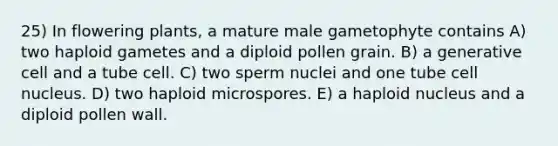 25) In flowering plants, a mature male gametophyte contains A) two haploid gametes and a diploid pollen grain. B) a generative cell and a tube cell. C) two sperm nuclei and one tube <a href='https://www.questionai.com/knowledge/ksZq6y1LRD-cell-nucleus' class='anchor-knowledge'>cell nucleus</a>. D) two haploid microspores. E) a haploid nucleus and a diploid pollen wall.