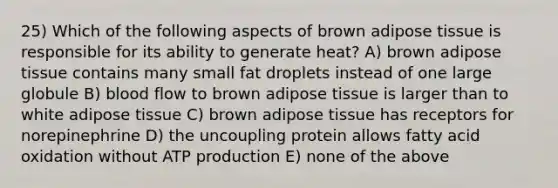 25) Which of the following aspects of brown adipose tissue is responsible for its ability to generate heat? A) brown adipose tissue contains many small fat droplets instead of one large globule B) blood flow to brown adipose tissue is larger than to white adipose tissue C) brown adipose tissue has receptors for norepinephrine D) the uncoupling protein allows fatty acid oxidation without ATP production E) none of the above