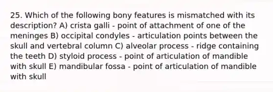 25. Which of the following bony features is mismatched with its description? A) crista galli - point of attachment of one of the meninges B) occipital condyles - articulation points between the skull and vertebral column C) alveolar process - ridge containing the teeth D) styloid process - point of articulation of mandible with skull E) mandibular fossa - point of articulation of mandible with skull