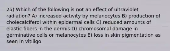 25) Which of the following is not an effect of ultraviolet radiation? A) increased activity by melanocytes B) production of cholecalciferol within epidermal cells C) reduced amounts of elastic fibers in <a href='https://www.questionai.com/knowledge/kEsXbG6AwS-the-dermis' class='anchor-knowledge'>the dermis</a> D) chromosomal damage in germinative cells or melanocytes E) loss in skin pigmentation as seen in vitiligo