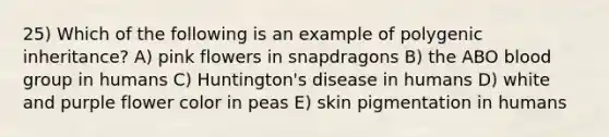 25) Which of the following is an example of polygenic inheritance? A) pink flowers in snapdragons B) the ABO blood group in humans C) Huntington's disease in humans D) white and purple flower color in peas E) skin pigmentation in humans