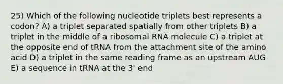 25) Which of the following nucleotide triplets best represents a codon? A) a triplet separated spatially from other triplets B) a triplet in the middle of a ribosomal RNA molecule C) a triplet at the opposite end of tRNA from the attachment site of the amino acid D) a triplet in the same reading frame as an upstream AUG E) a sequence in tRNA at the 3' end