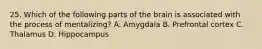 25. Which of the following parts of the brain is associated with the process of mentalizing? A. Amygdala B. Prefrontal cortex C. Thalamus D. Hippocampus