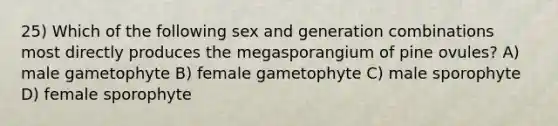 25) Which of the following sex and generation combinations most directly produces the megasporangium of pine ovules? A) male gametophyte B) female gametophyte C) male sporophyte D) female sporophyte