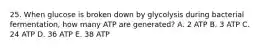 25. When glucose is broken down by glycolysis during bacterial fermentation, how many ATP are generated? A. 2 ATP B. 3 ATP C. 24 ATP D. 36 ATP E. 38 ATP