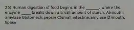 25) Human digestion of food begins in the _______, where the enzyme _____ breaks down a small amount of starch. A)mouth; amylase B)stomach;pepsin C)small intestine;amylase D)mouth; lipase