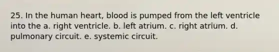 25. In the human heart, blood is pumped from the left ventricle into the a. right ventricle. b. left atrium. c. right atrium. d. pulmonary circuit. e. systemic circuit.