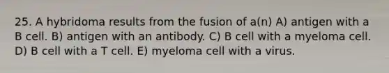 25. A hybridoma results from the fusion of a(n) A) antigen with a B cell. B) antigen with an antibody. C) B cell with a myeloma cell. D) B cell with a T cell. E) myeloma cell with a virus.