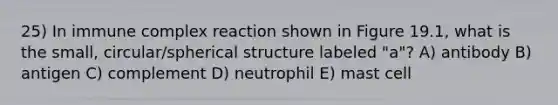 25) In immune complex reaction shown in Figure 19.1, what is the small, circular/spherical structure labeled "a"? A) antibody B) antigen C) complement D) neutrophil E) mast cell