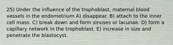 25) Under the influence of the trophoblast, maternal blood vessels in the endometrium A) disappear. B) attach to the inner cell mass. C) break down and form sinuses or lacunae. D) form a capillary network in the trophoblast. E) increase in size and penetrate the blastocyst.