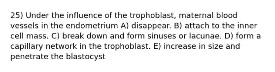 25) Under the influence of the trophoblast, maternal <a href='https://www.questionai.com/knowledge/kZJ3mNKN7P-blood-vessels' class='anchor-knowledge'>blood vessels</a> in the endometrium A) disappear. B) attach to the inner cell mass. C) break down and form sinuses or lacunae. D) form a capillary network in the trophoblast. E) increase in size and penetrate the blastocyst