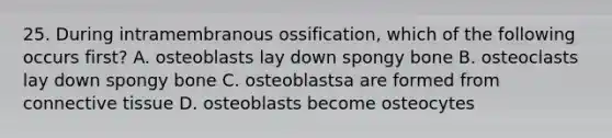 25. During intramembranous ossification, which of the following occurs first? A. osteoblasts lay down spongy bone B. osteoclasts lay down spongy bone C. osteoblastsa are formed from connective tissue D. osteoblasts become osteocytes