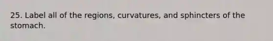 25. Label all of the regions, curvatures, and sphincters of <a href='https://www.questionai.com/knowledge/kLccSGjkt8-the-stomach' class='anchor-knowledge'>the stomach</a>.