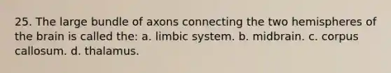 25. The large bundle of axons connecting the two hemispheres of the brain is called the: a. limbic system. b. midbrain. c. corpus callosum. d. thalamus.
