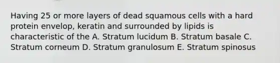 Having 25 or more layers of dead squamous cells with a hard protein envelop, keratin and surrounded by lipids is characteristic of the A. Stratum lucidum B. Stratum basale C. Stratum corneum D. Stratum granulosum E. Stratum spinosus