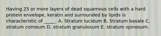 Having 25 or more layers of dead squamous cells with a hard protein envelope, keratin and surrounded by lipids is characteristic of _____. A. Stratum lucidum B, Stratum basale C. stratum corneum D. stratum granulosum E. stratum spinosum.