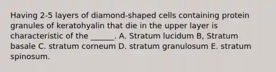 Having 2-5 layers of diamond-shaped cells containing protein granules of keratohyalin that die in the upper layer is characteristic of the ______. A. Stratum lucidum B, Stratum basale C. stratum corneum D. stratum granulosum E. stratum spinosum.