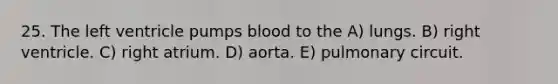 25. The left ventricle pumps blood to the A) lungs. B) right ventricle. C) right atrium. D) aorta. E) pulmonary circuit.