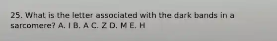 25. What is the letter associated with the dark bands in a sarcomere? A. I B. A C. Z D. M E. H