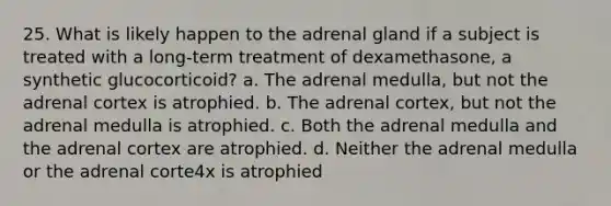 25. What is likely happen to the adrenal gland if a subject is treated with a long-term treatment of dexamethasone, a synthetic glucocorticoid? a. The adrenal medulla, but not the adrenal cortex is atrophied. b. The adrenal cortex, but not the adrenal medulla is atrophied. c. Both the adrenal medulla and the adrenal cortex are atrophied. d. Neither the adrenal medulla or the adrenal corte4x is atrophied