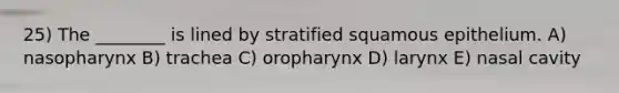 25) The ________ is lined by stratified squamous epithelium. A) nasopharynx B) trachea C) oropharynx D) larynx E) nasal cavity