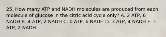 25. How many ATP and NADH molecules are produced from each molecule of glucose in the citric acid cycle only? A. 2 ATP, 6 NADH B. 4 ATP, 2 NADH C. 0 ATP, 6 NADH D. 3 ATP, 4 NADH E. 1 ATP, 2 NADH